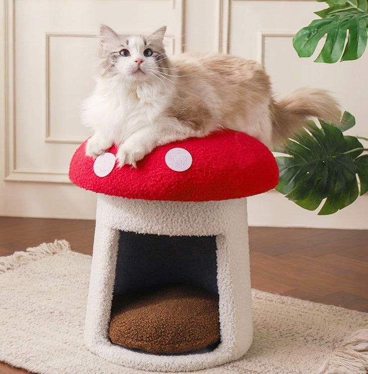 Lit pour Chat Champignon