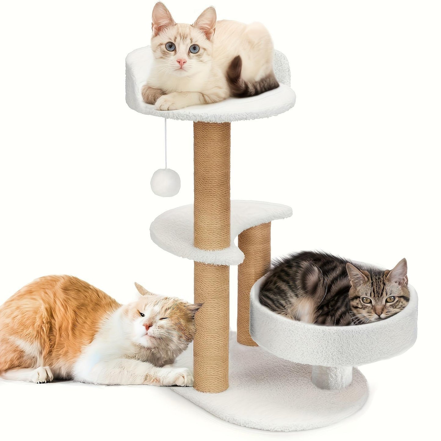Arbre à Chat à Plusieurs Zones