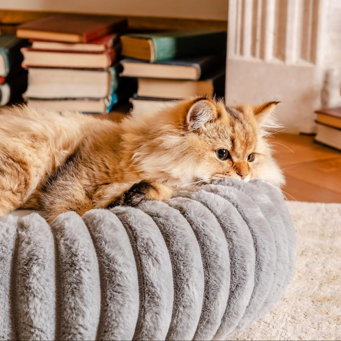 Lit pour chat rond